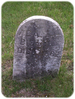 wp32ce024b_0f.jpg